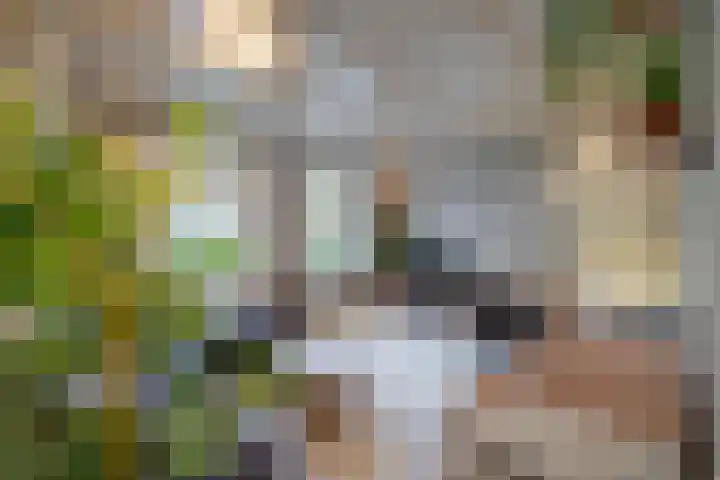 Tsjerkepaed 9 Sexbierum thumbnail 11