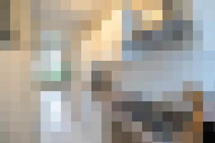 Tsjerkepaed 9 Sexbierum thumbnail 14