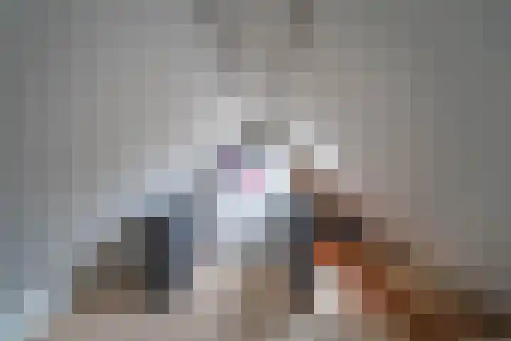 Tsjerkepaed 9 Sexbierum thumbnail 17