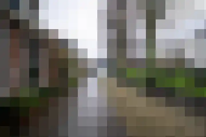 Tsjerkepaed 9 Sexbierum thumbnail 6