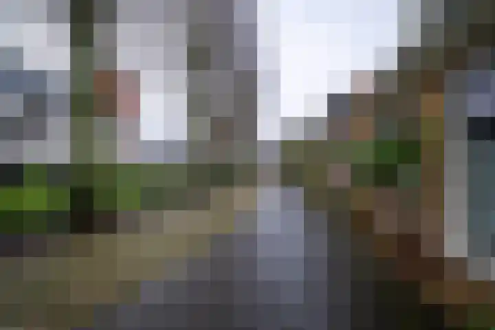 Tsjerkepaed 9 Sexbierum thumbnail 7