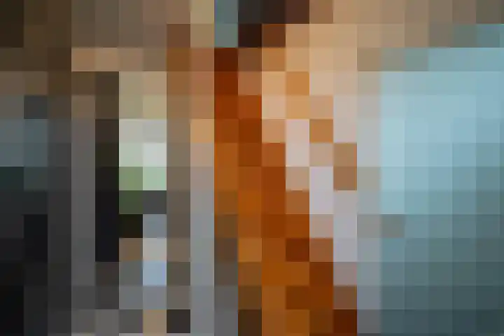 Tsjerkepaed 9 Sexbierum thumbnail 9