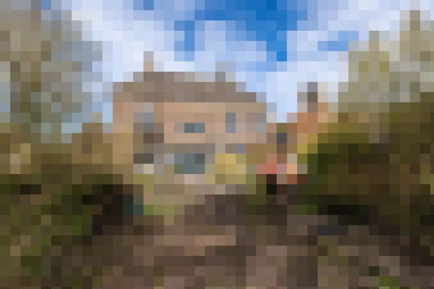 Tsjerkeplein 2 Wierum thumbnail 12