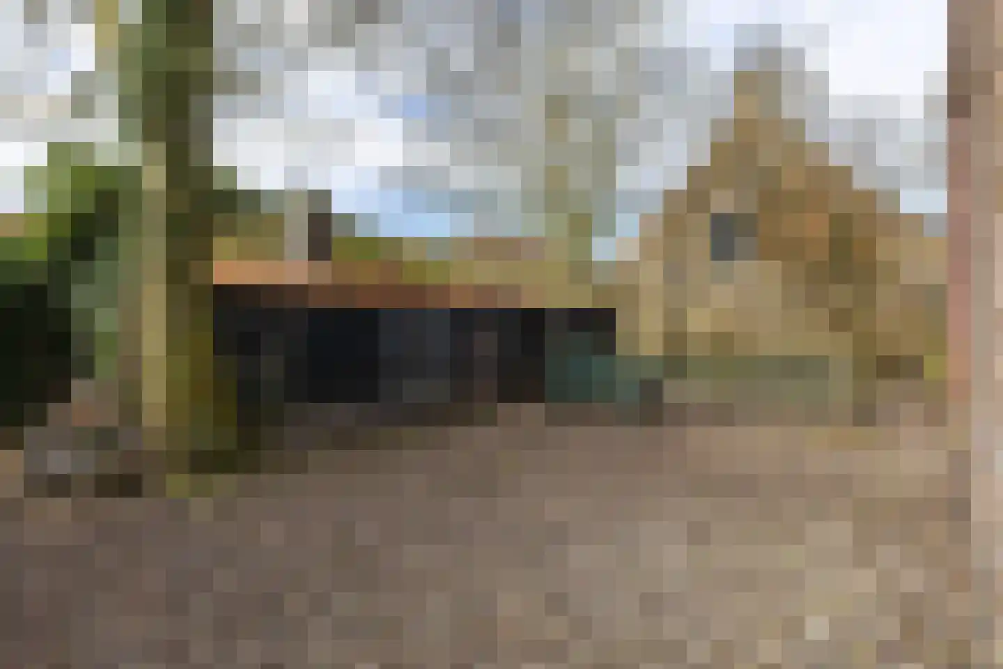 Tsjerkeplein 2 Wierum thumbnail 25