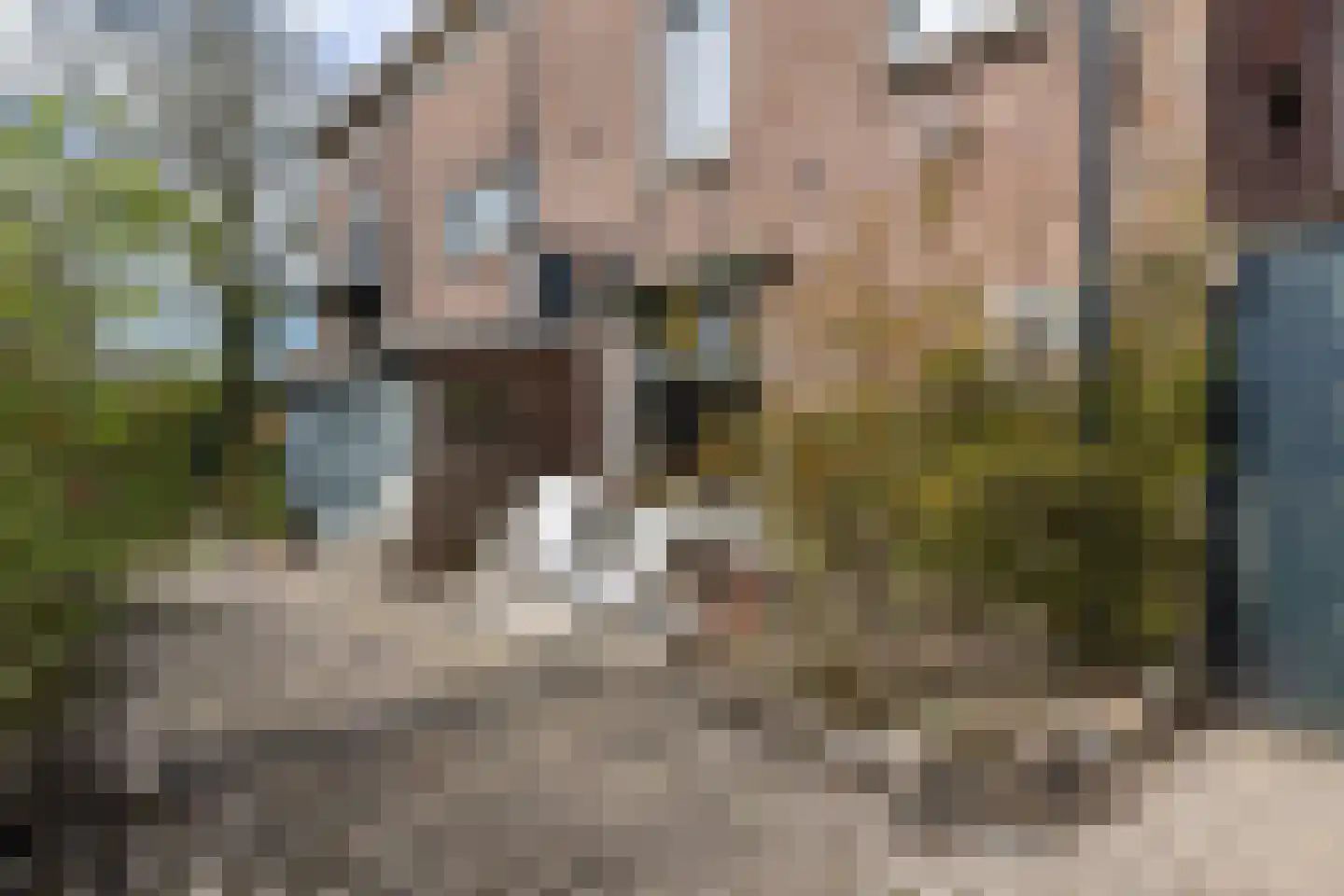 Tsjerkeplein 2 Wierum thumbnail 9