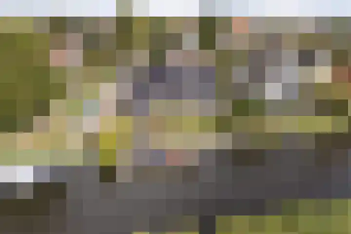 Tsjerkesleatswei 2 en Heeg