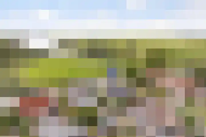 Tsjerkesleatswei 2 Heeg foto 2