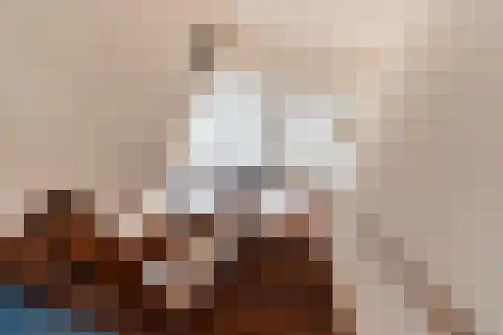 Tsjerkesleatswei 2 Heeg thumbnail 25