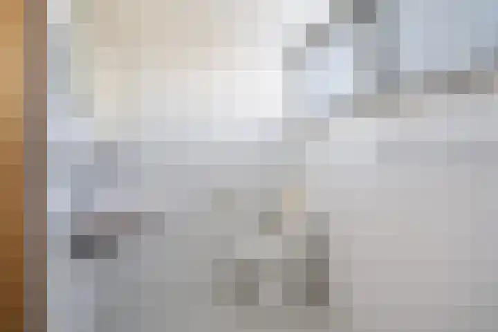 Tsjerkesleatswei 2 Heeg thumbnail 33