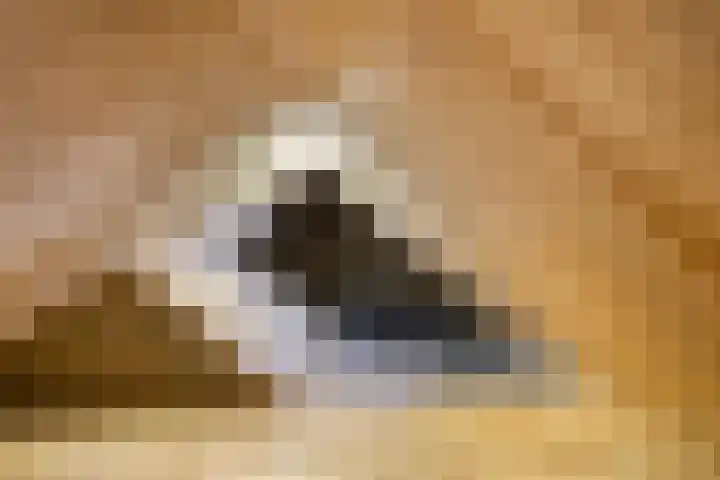 Tsjerkesleatswei 2 Heeg thumbnail 34