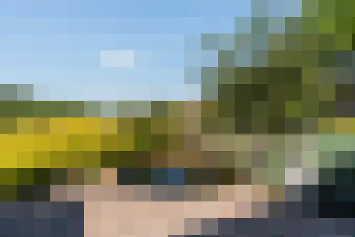 Tsjerkesleatswei 2 Heeg thumbnail 38
