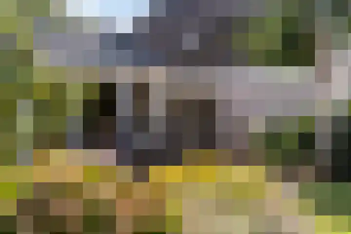 Tsjerkesleatswei 2 Heeg thumbnail 41