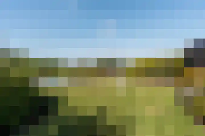 Tsjerkesleatswei 2 Heeg thumbnail 42