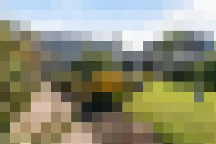 Tsjerkesleatswei 2 Heeg thumbnail 43