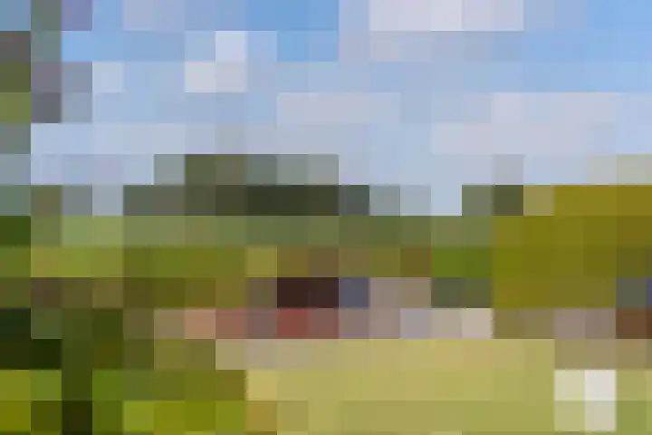 Tsjerkesleatswei 2 Heeg thumbnail 45