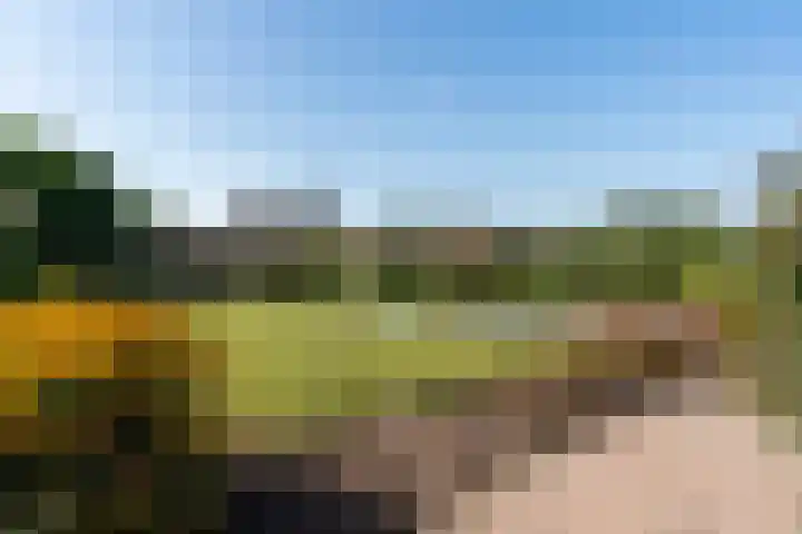 Tsjerkesleatswei 2 Heeg thumbnail 46