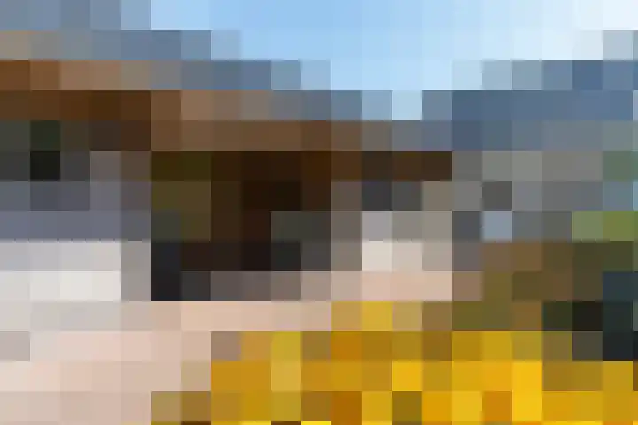 Tsjerkesleatswei 2 Heeg thumbnail 53
