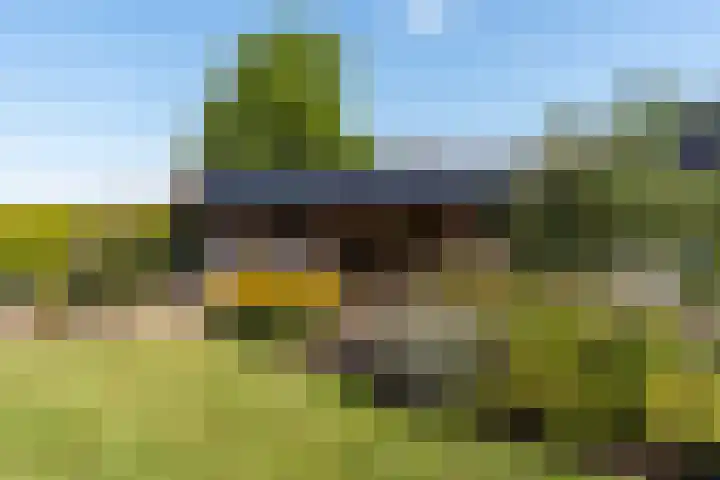 Tsjerkesleatswei 2 Heeg thumbnail 54