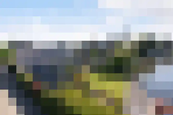 Tsjerkesleatswei 2 Heeg thumbnail 56
