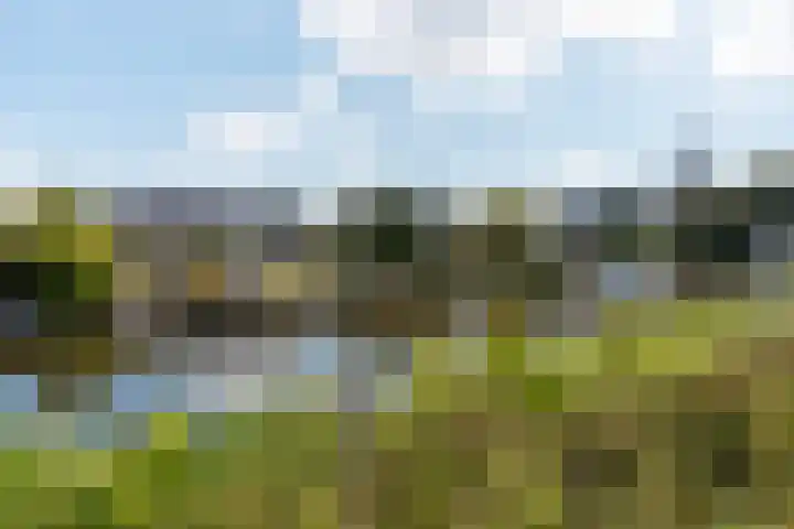 Tsjerkesleatswei 2 Heeg thumbnail 57