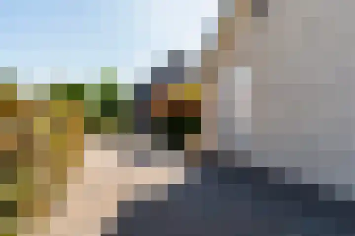 Tsjerkesleatswei 2 Heeg thumbnail 63
