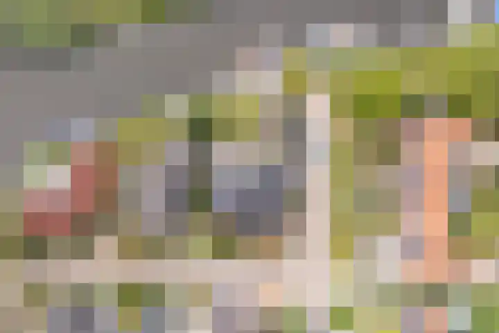 Tsjerkesleatswei 2 Heeg thumbnail 65