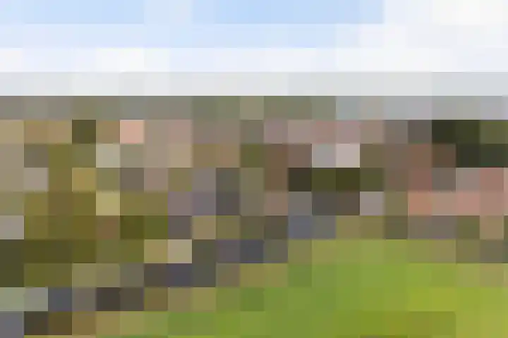 Tsjerkesleatswei 2 Heeg thumbnail 66