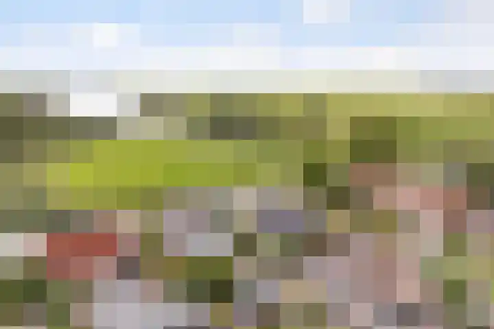 Tsjerkesleatswei 2 Heeg thumbnail 67