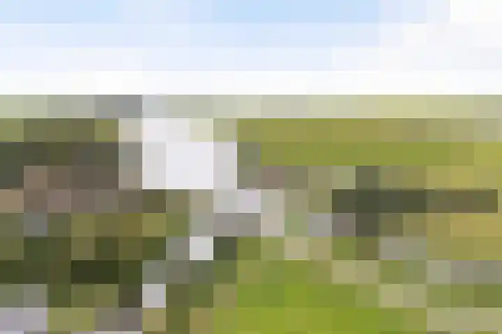 Tsjerkesleatswei 2 Heeg thumbnail 68