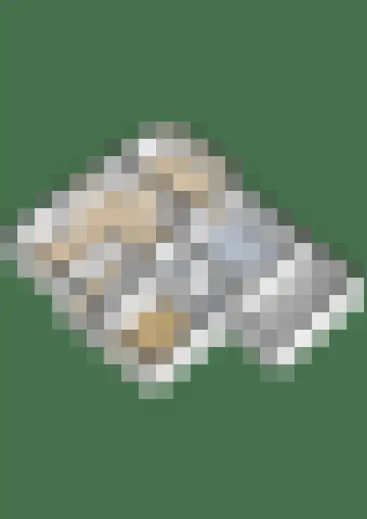 Tsjerkesleatswei 2 Heeg thumbnail 74