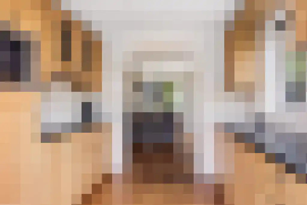 Tsjerkesleatswei 20 Heeg thumbnail 13