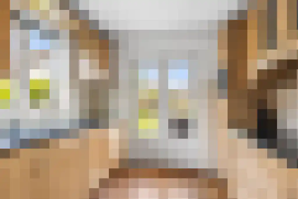 Tsjerkesleatswei 20 Heeg thumbnail 14