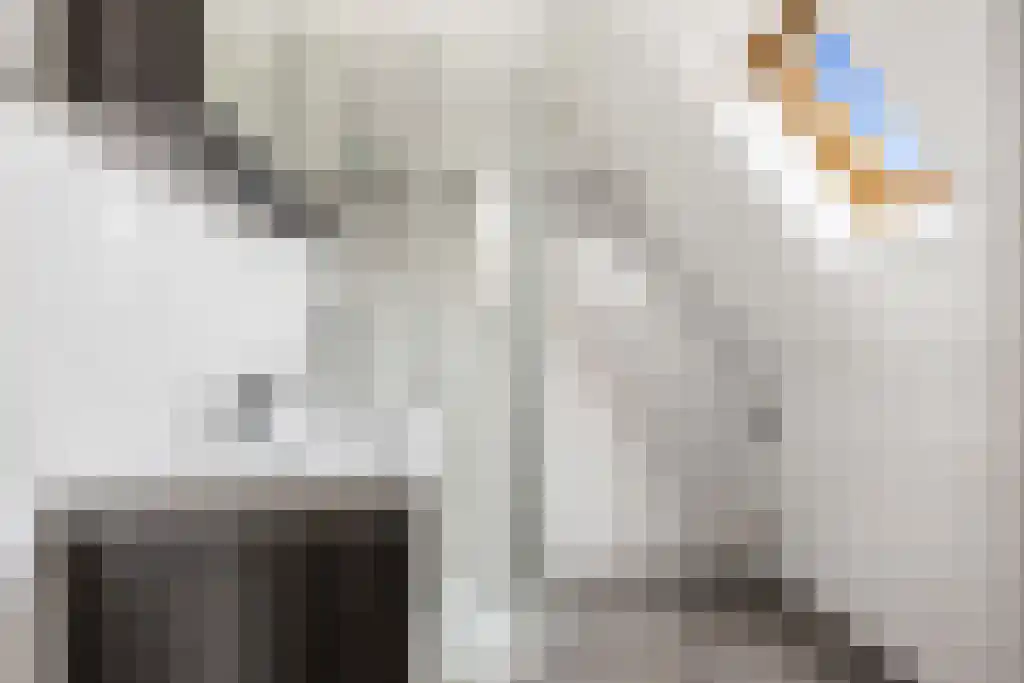 Tsjerkesleatswei 20 Heeg thumbnail 27
