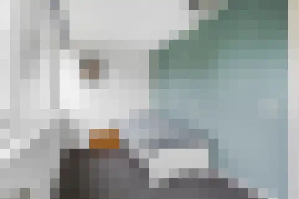 Tsjerkesleatswei 20 Heeg thumbnail 29