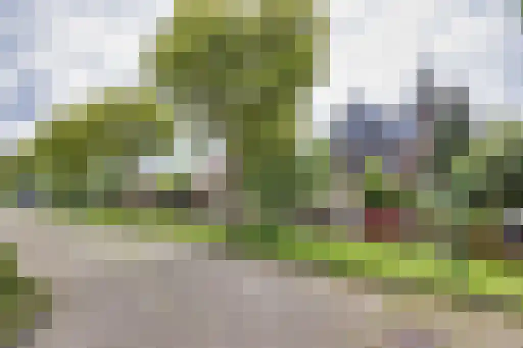 Tsjerkesleatswei 20 Heeg thumbnail 50