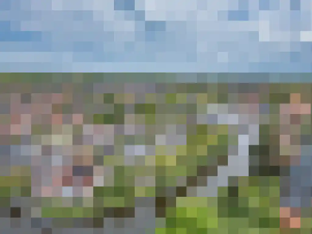 Tsjerkesleatswei 20 Heeg thumbnail 53