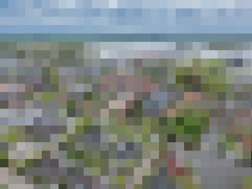 Tsjerkesleatswei 20 Heeg thumbnail 58