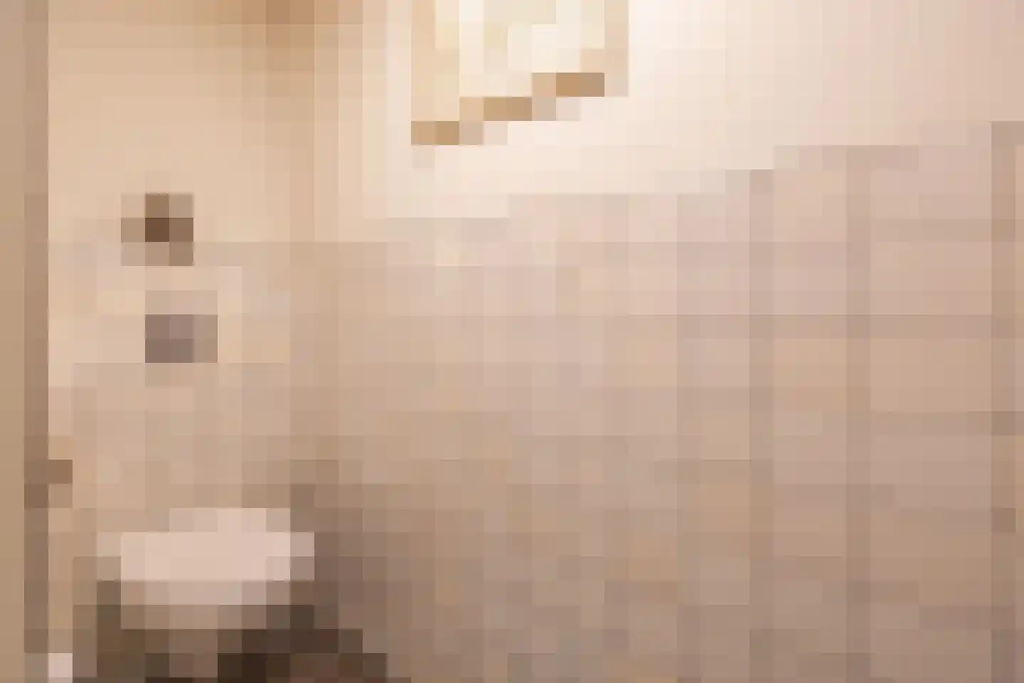 Tsjerkestrjitte 11 Eanjum thumbnail 101