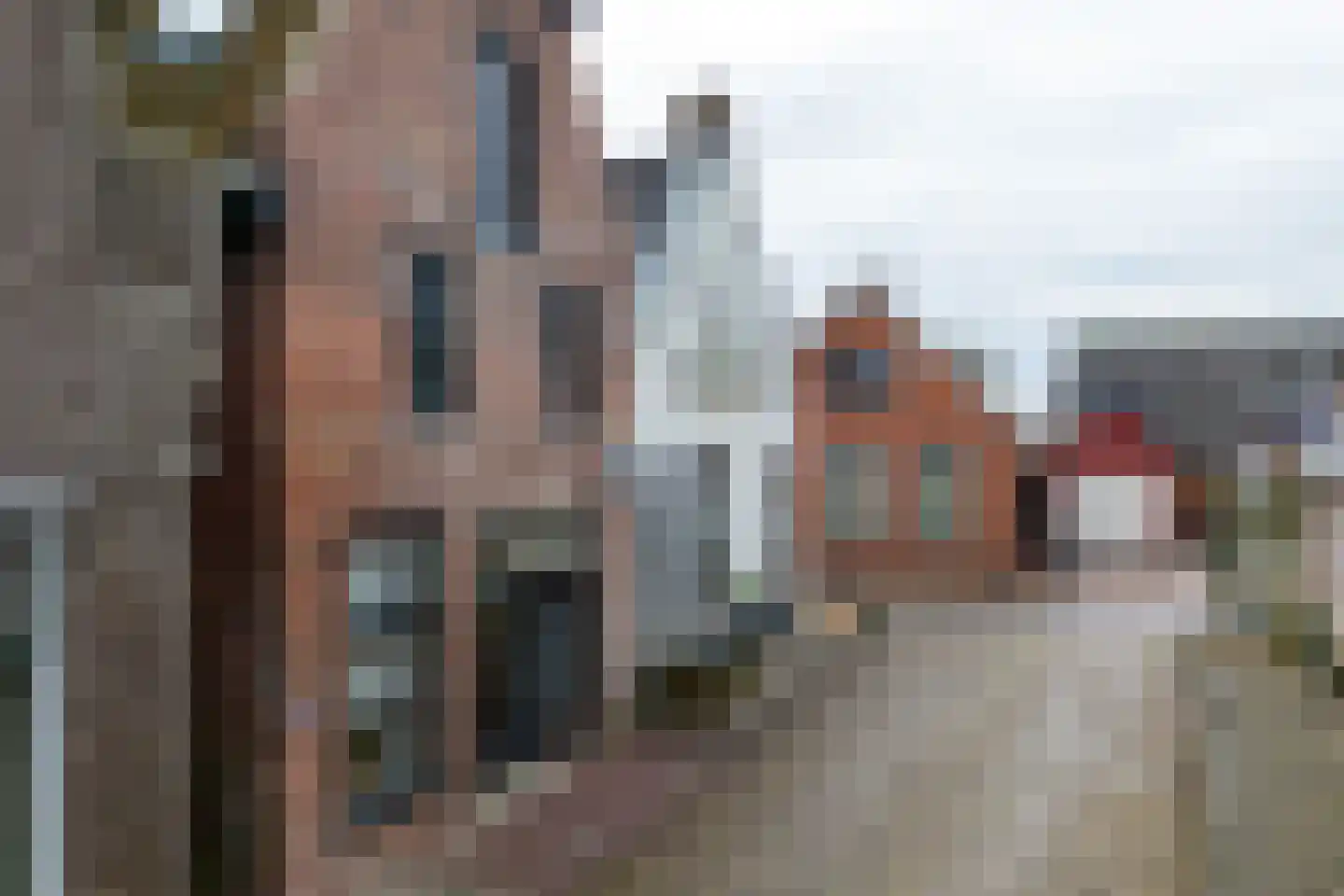 Tsjerkestrjitte 11 Eanjum foto 2