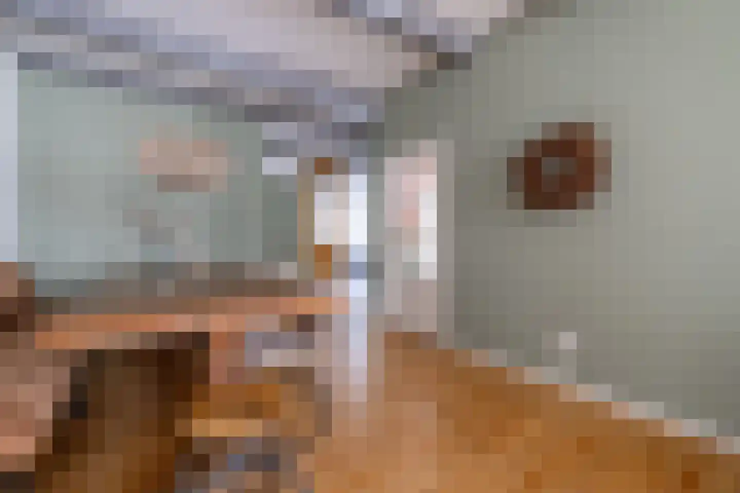 Tsjerkestrjitte 11 Eanjum thumbnail 39