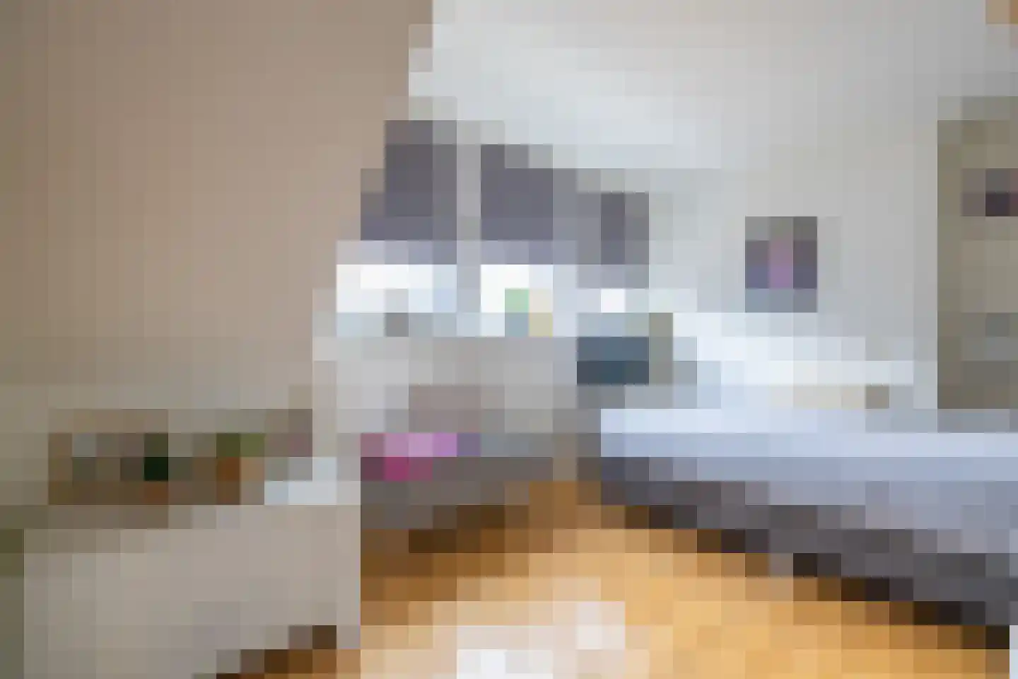 Tsjerkestrjitte 11 Eanjum thumbnail 66
