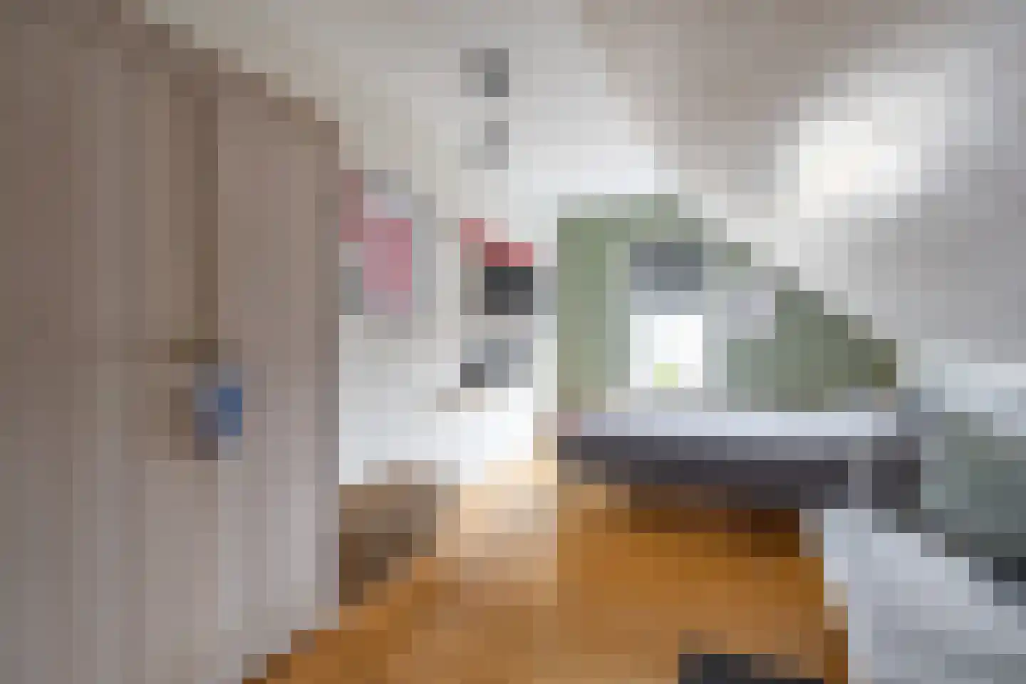 Tsjerkestrjitte 11 Eanjum thumbnail 69