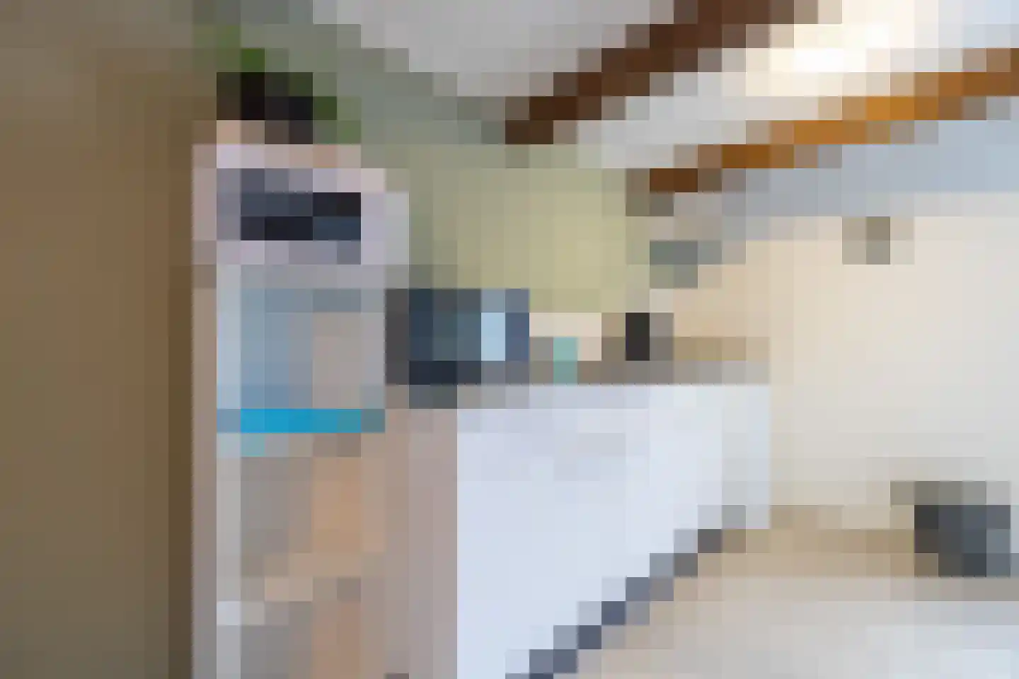 Tsjerkestrjitte 11 Eanjum thumbnail 82
