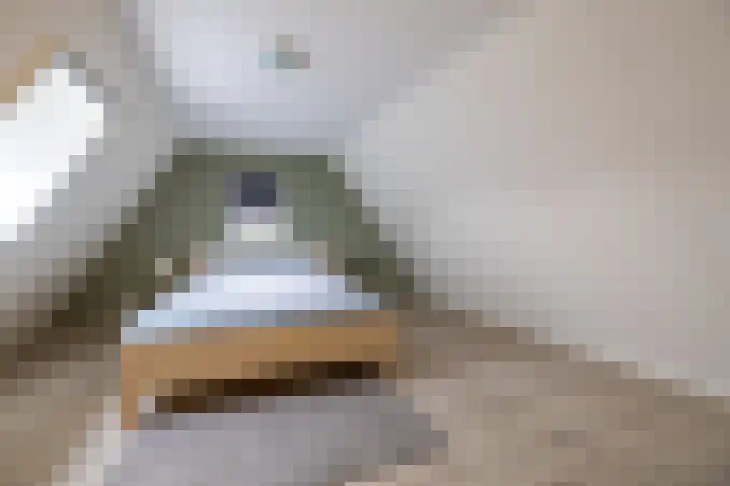 Tsjerkestrjitte 11 Eanjum thumbnail 83