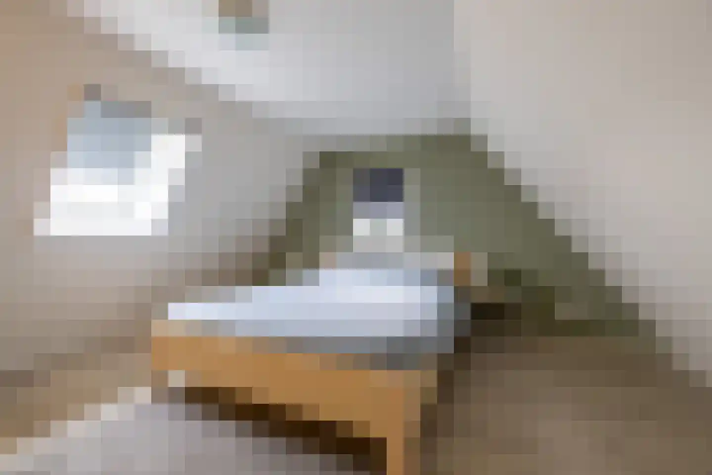 Tsjerkestrjitte 11 Eanjum thumbnail 84