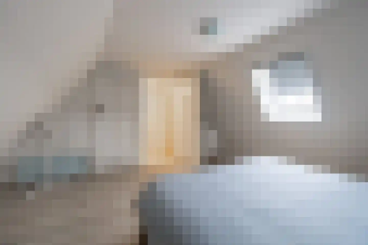 Tsjerkestrjitte 11 Eanjum thumbnail 85