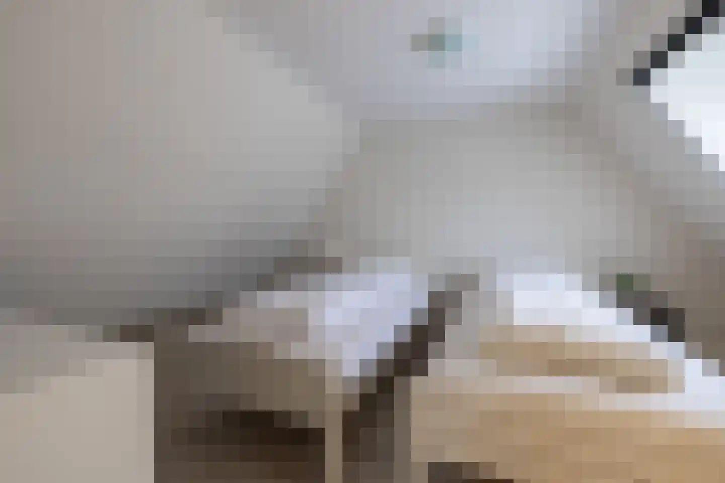 Tsjerkestrjitte 11 Eanjum thumbnail 89