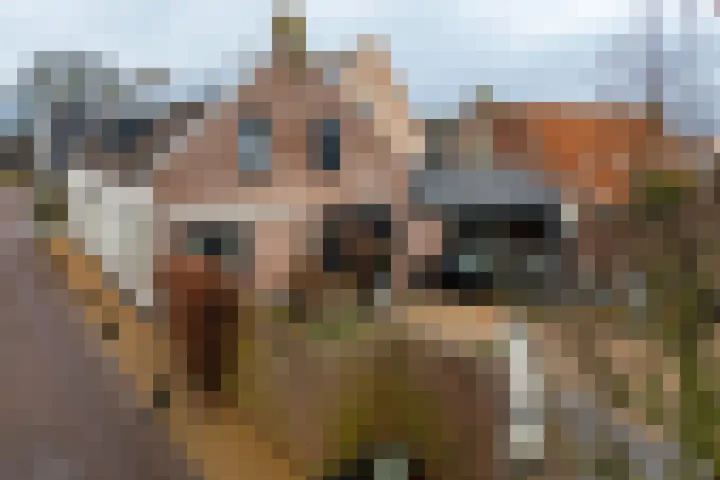 Tsjerkestrjitte 11 Eanjum thumbnail 9