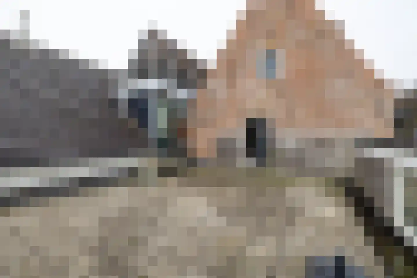 Tsjerkestrjitte 11 Eanjum thumbnail 95