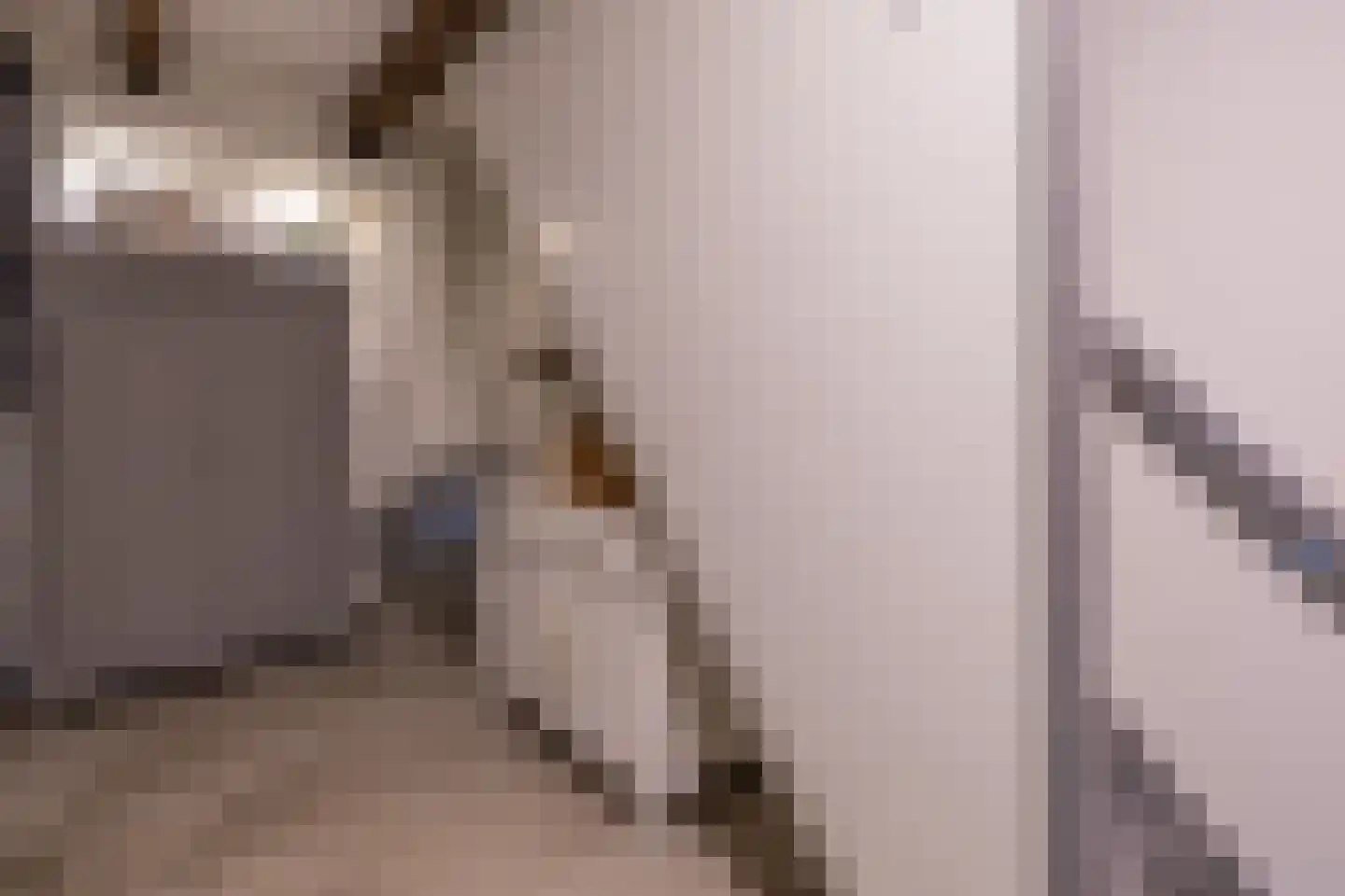 Tsjerkestrjitte 11 Eanjum thumbnail 97